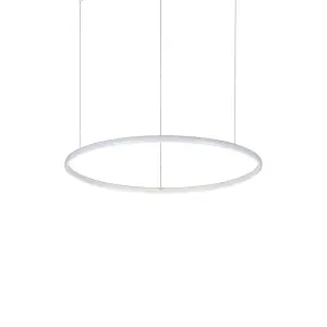 Luminosa Hulahoop LED Decorative Round Integrated Pendant Light White, 3000K