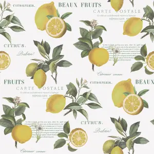 Galerie Just Kitchens White Citron Botanical Wallpaper Roll