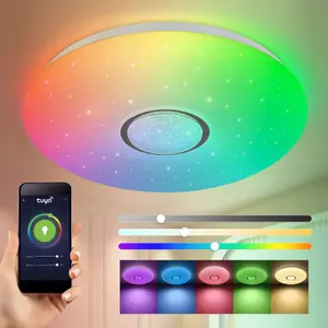 LED Smart Ceiling Light, 24 Watts RGB CCT 2700K-6500K, Dimmable