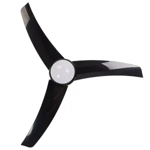 Ceiling Fan with Light Black JIBOA