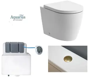 Aquarius Emma Back to Wall Toilet Bundle - Chrome Flush Button