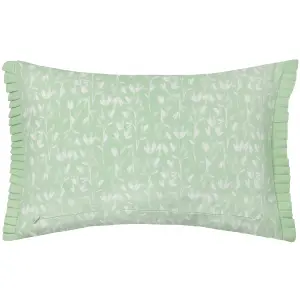 Wylder Belle Cotton  Feather Rich Cushion