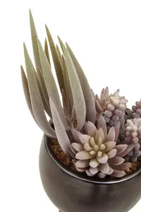 Fiori Mixed Succulents In Ceramic Pot Artificial Plant Foliage