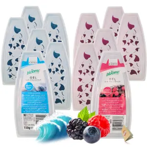 12pk Gel Air Fresheners for Home Pacific Surf & Fresh Berries, Room Fresheners for Home Odour Eliminator, Bathroom Air Freshener