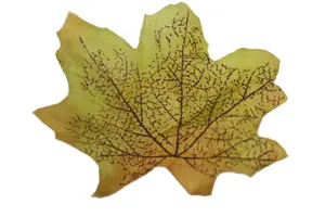 Best Artificial Loose Autumn Halloween Maple Leaves for Crafts Decoration - M2