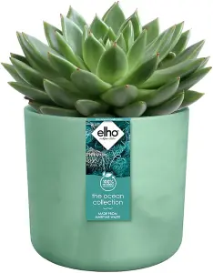 Elho The Ocean Collection 16cm Round Plastic Plant Pot in Pacific Green