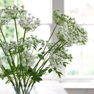 Bloom Artificial Single White Cow Parsley Stem - Faux Fake Silk Flower Indoor Home Decoration Floral Arrangements - Measures L65cm