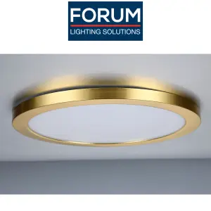 Bathroom Lighting Wall and Ceiling Light 6W IP44 - Satin Brass