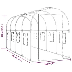 Berkfield Greenhouse Transparent 160x400x190 cm PVC&Powder-coated Steel