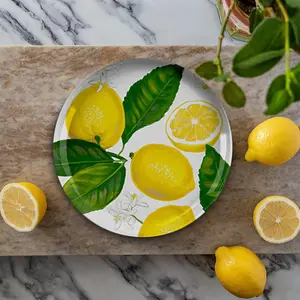 Purely Home Lemon Fresh Melamine Side Plates - Set of 2