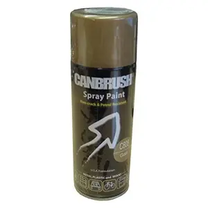 Canbrush Paint for Metal Plastic and Wood (C808 Gold)