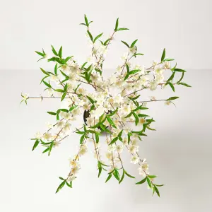 Homescapes Artificial Blossom Tree with Cream Silk Flowers - 5 Feet