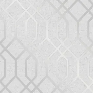 Quartz Trellis Geometric Wallpaper Silver and Grey Fine Decor FD42304