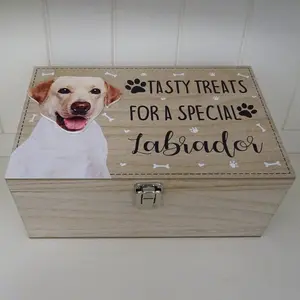 Labrador Dog Treat Box Delgado Decorative Box