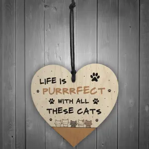 Life Is Perfect With All These Cats Sign Home Sign Funny Crazy Cat Lady Sign Pet Lover Gift