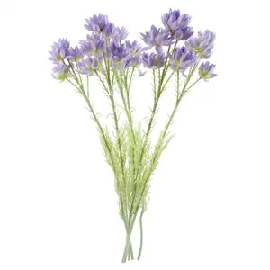 Pack of 6 x 60cm Purple Starflower Stem - 5 Flowers