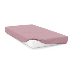 Belledorm Percale Fitted Sheet Blush (190cm x 105cm)