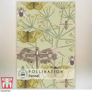 Fennel Promo New Kew Range 1 Seed Packet (250 Seeds)