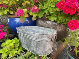 Galvanised Oval Trough with Handles Outdoor Garden Planter Flower Pot