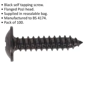 100 PACK 4.2 x 19mm Self Tapping Black Screw - Flanged Pozi Head - Fixings Screw