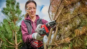 Einhell 12.5cm PXC Cordless Mini Chainsaw Handheld Pruning Saw 18V Brushless Power X-Change GE-PS 18/15 Li BL-Solo - Body Only