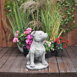 Large Staffordshire Bull Terrier Dog Garden statue