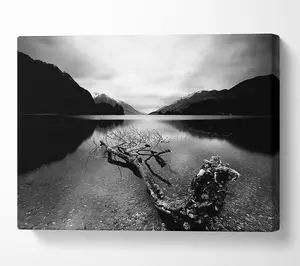 Tree In The Lake B N W Canvas Print Wall Art - Medium 20 x 32 Inches