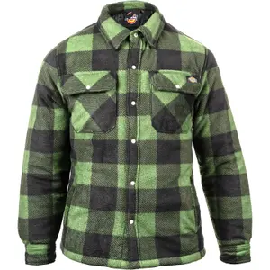 Dickies Mens Portland Shirt Green