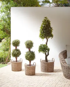 Set of 3 Plant Pots PENDULA PE Rattan Natural