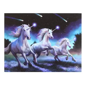 Anne Stokes Shooting Star Canvas Plaque Multicoloured (25cm x 19cm)