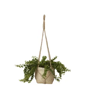 GoodHome Natural Herringbone Seagrass Plant pot (Dia) 20.5cm, (H)16.5cm