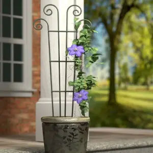 Primrose Spiral Topped Wave Design Trellis and Plant Support in Green 121cm