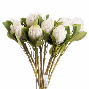 Closed Protea Artificial Flower (Single Stem) - L12 x W8 x H67 cm - White