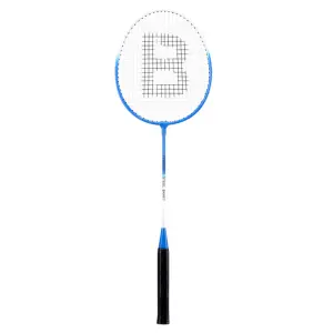 Wilton Bradley Metal Badminton set