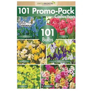 Big Buy Value 101 Promo Pack (101 Bulbs) Bee Friendly