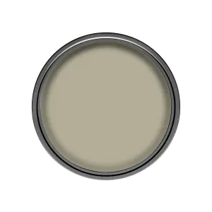 Dulux Easycare Washable & Tough Overtly olive Matt Wall & ceiling Emulsion paint, 2.5L