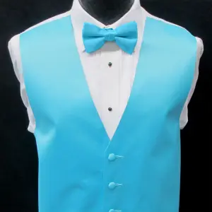 Aqua Blue Satin Polyester Bow Tie for Casual & Formal Wear, Wedding Party Accessory