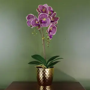 Orchid Artificial Purple Leopard Gold Pot 50cm Phalaenopsis Botanik