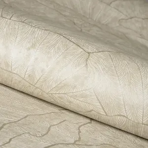 Galerie Feel Beige Metallic Seashell Leaf Wallpaper Roll