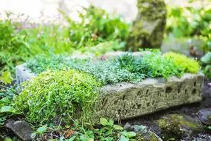 Large Stone Herb Garden Planter Trough