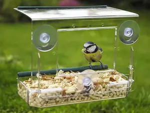 Window Bird Feeder With Suction Cups