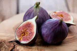 Fig Fruit Tree - Ficus Carica 'Rouge De Bordeux' in 9cm Pot