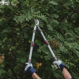 Kent & Stowe Garden Bypass Telescopic Loppers