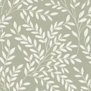 Superfresco Easy Green Leaves Textured Wallpaper