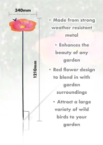 Ornamental Free Standing, Weather Resistant, Easy Assemble Bird Bath and Feeder