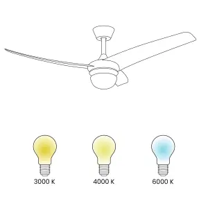 Ceiling Fan with Light Black JIBOA