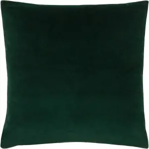 Paoletti Sunningdale Reversible Velvet Polyester Filled Cushion