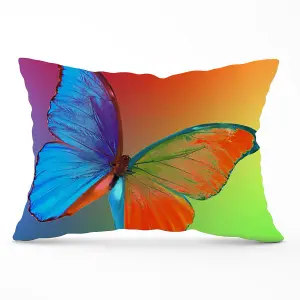 Vibrant Butterfly Cushions 33cm x 48cm