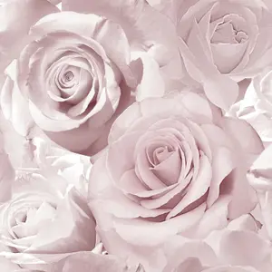 Muriva Bella Soft Pink Flower Rose Bloom 3D Effect Floral Designer Wallpaper