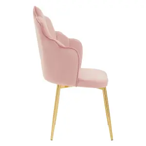 Interiors by Premier Pink Velvet Dining Chair, Backrest Pink Accent Chair with Gold Legs